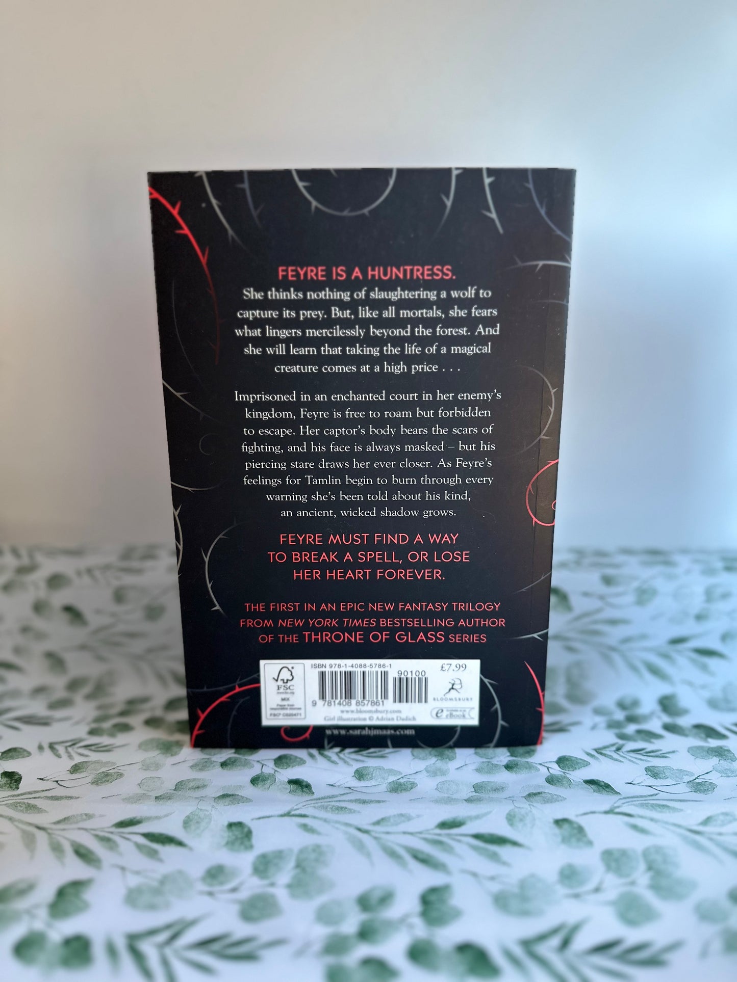 A Court of Thorns and Roses OOP Cover Gift Set Tote Bag Book & Bookmarks ACOTAR | Sarah J Maas Fans